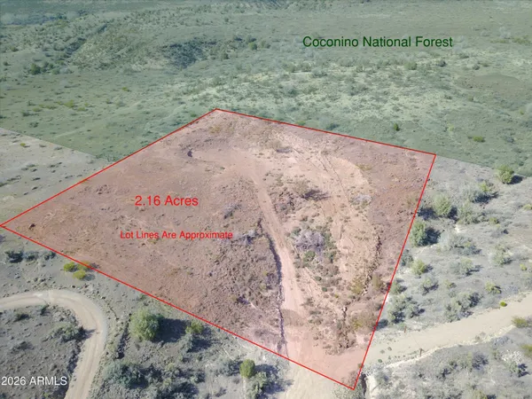 a view of a dry yard with a mountain