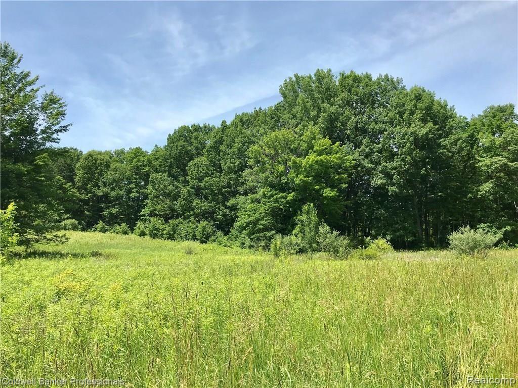 0 Lake Road Otisville, MI 48463 - Photo 8 of 12