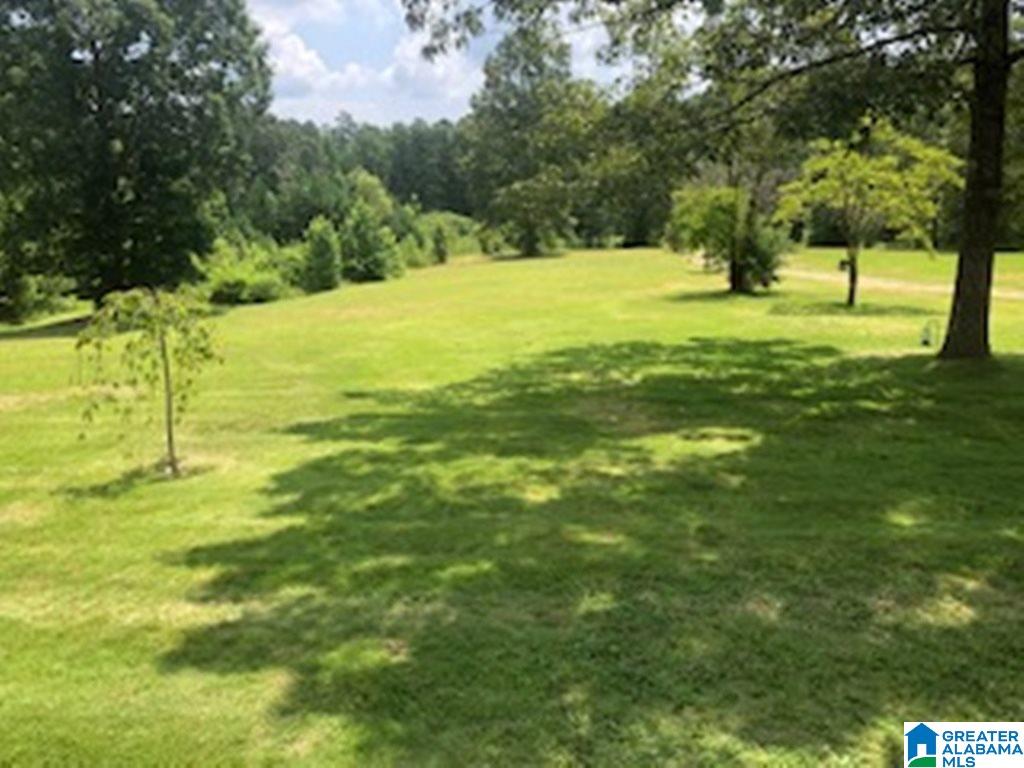 275 Manning Road Pell City, AL 35125 - Photo 35 of 38