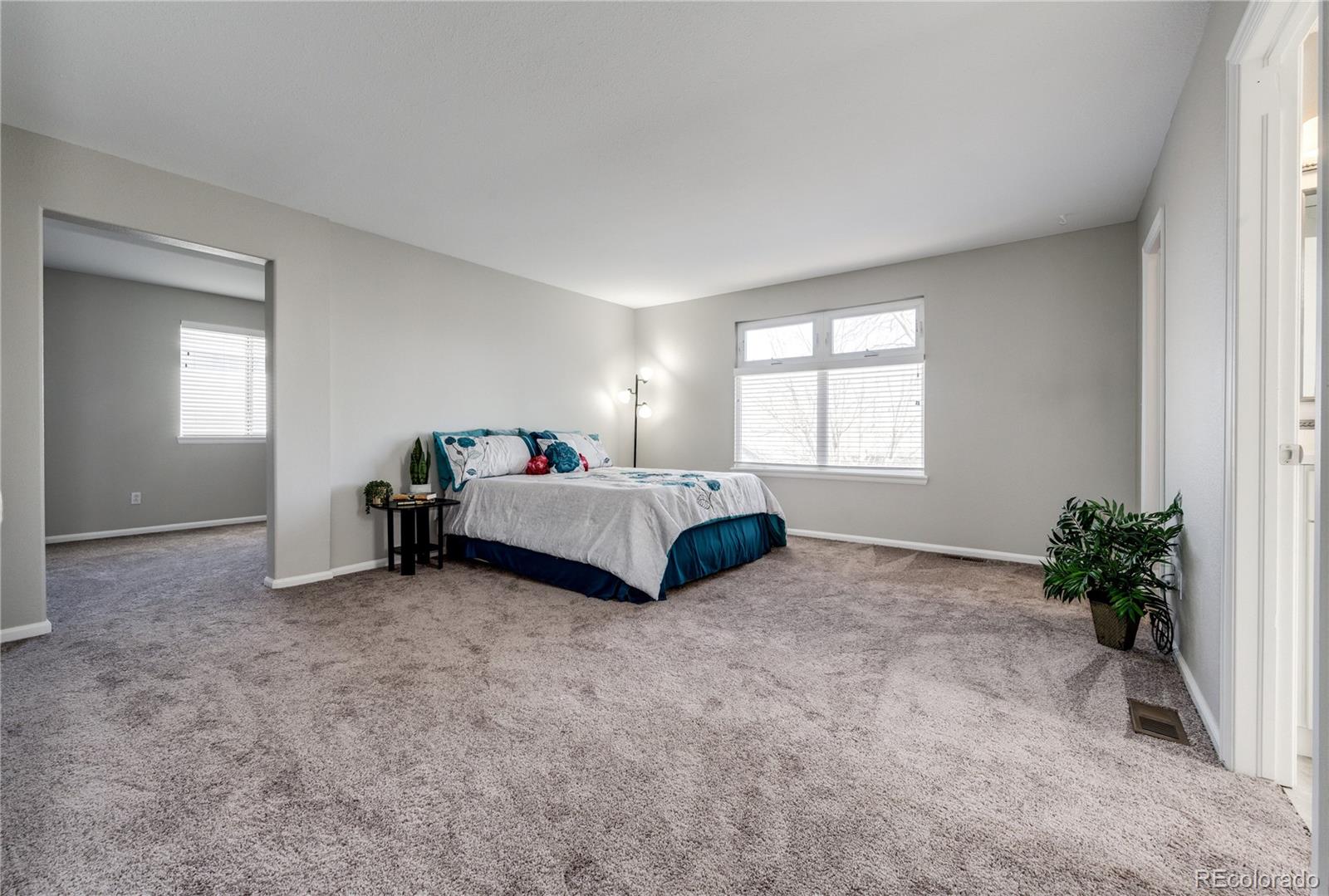 10462 Hyacinth Street Highlands Ranch, CO 80129 - Photo 19 of 40 Gallery Image 19