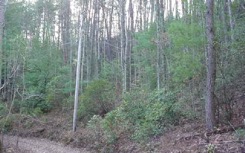 158 County Road Ellijay, GA 30536 - Photo 1 of 1 Main View