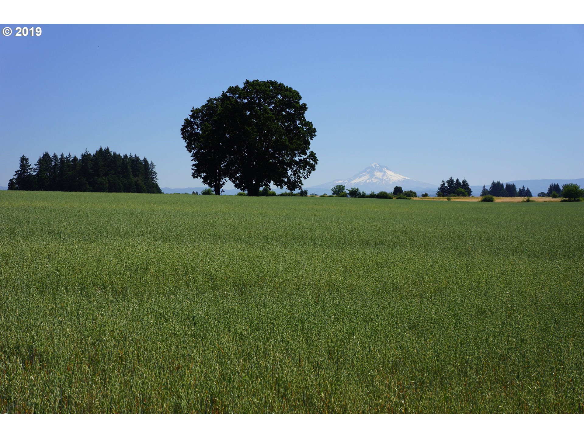 17800 South Springwater Road Oregon City, OR 97045 - Photo 1 of 13