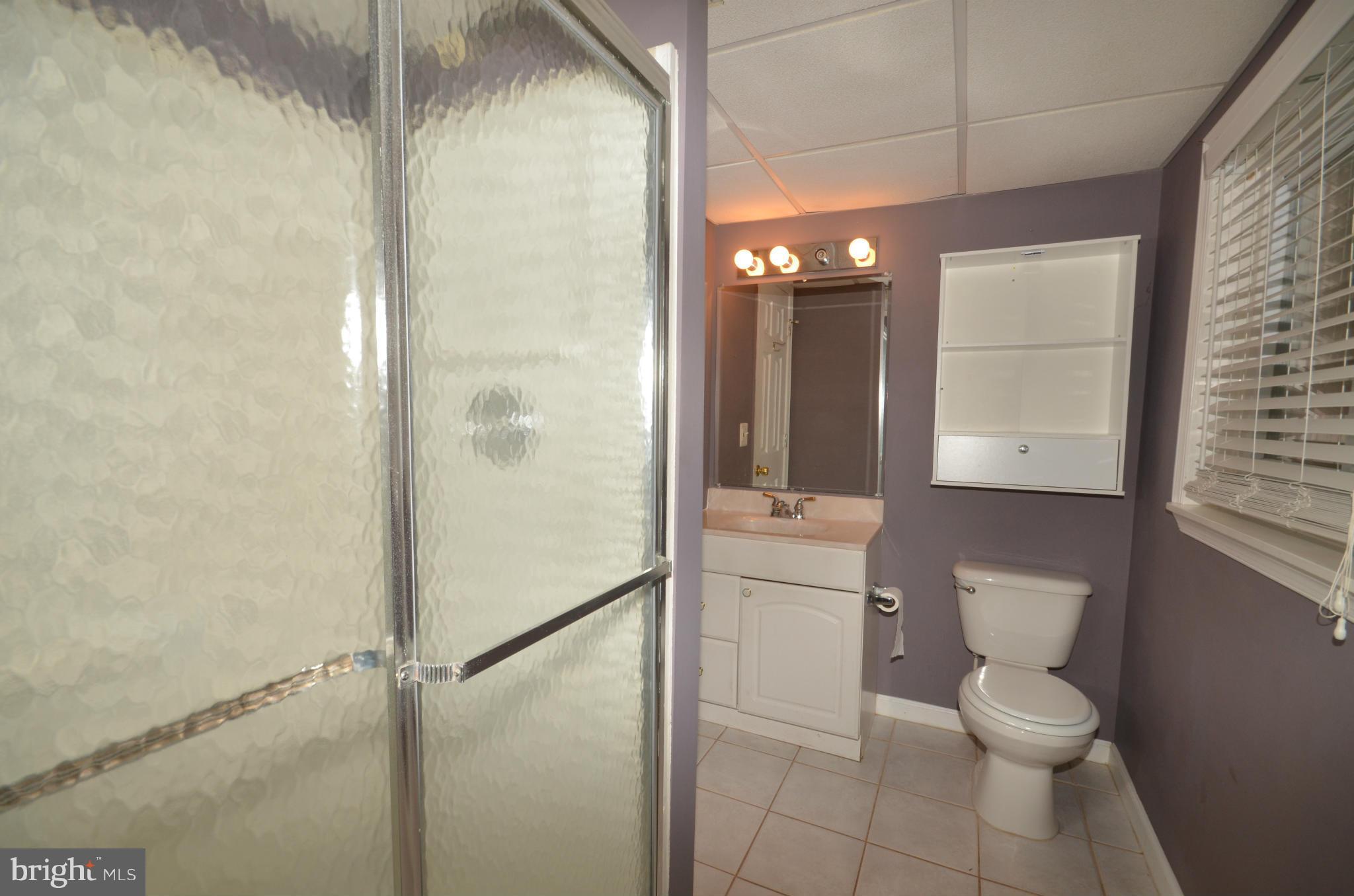 122 Peyton Road Sterling, VA 20165 - Photo 15 of 25 Full bathroom connects to bonus room in basement