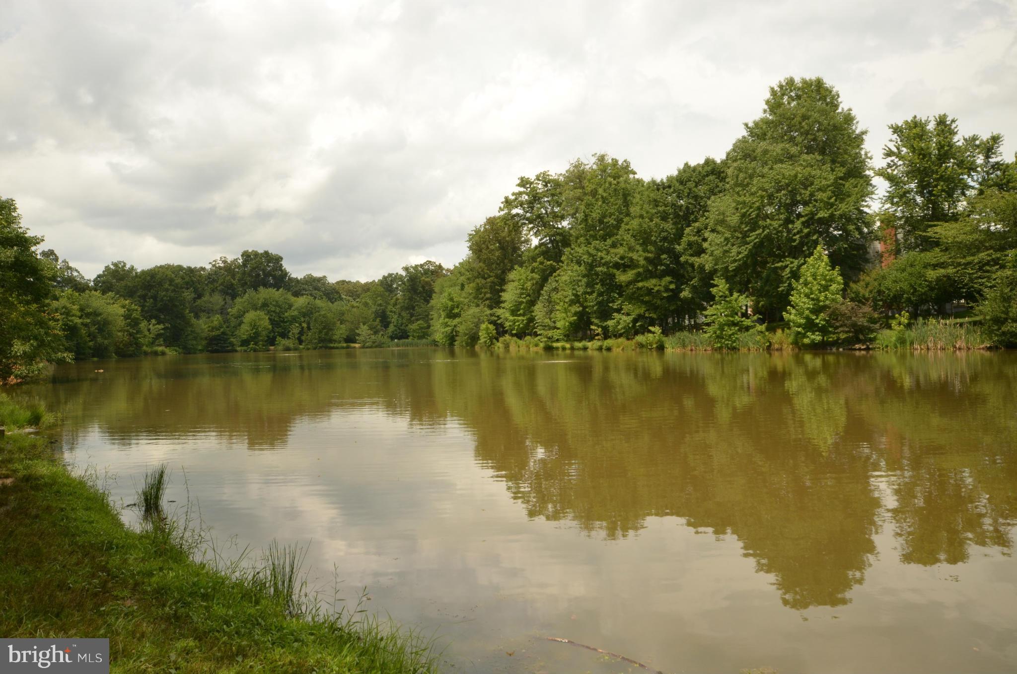 122 Peyton Road Sterling, VA 20165 - Photo 23 of 25 Fish from CountrySide's bass stocked pond