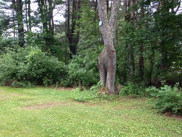 51 Old Webster Road Oxford, MA 01540 - Photo 13 of 16 Gallery Image 13