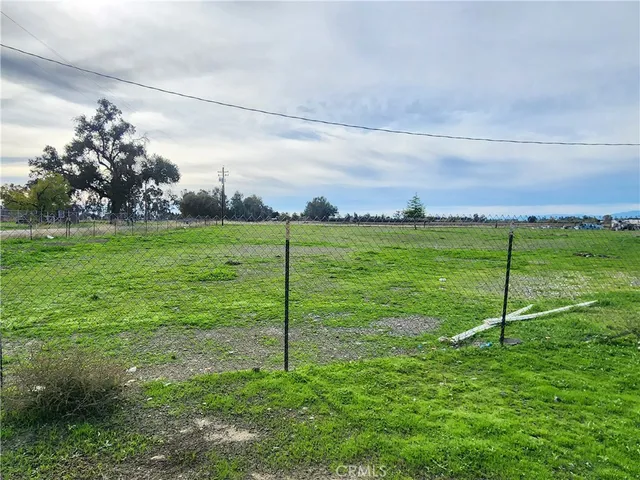 a view of a field with a tree in the background
