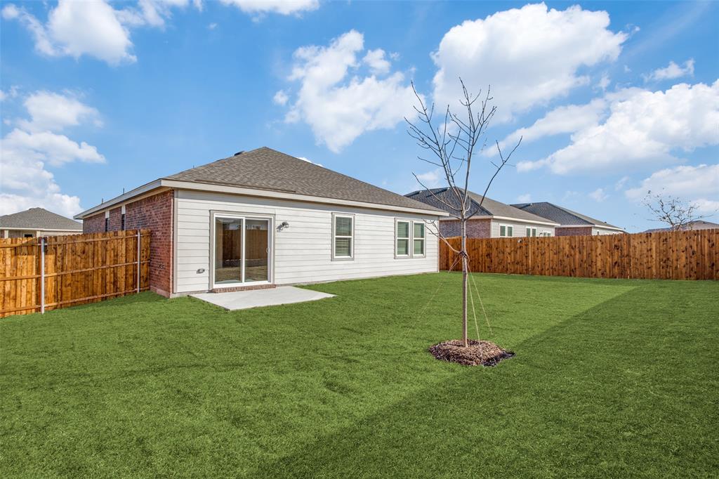 1819 Wolf Run Anna, TX 75409 - Photo 11 of 11 Expansive backyard featuring a manicured lawn, a newly planted tree, and a full privacy fence