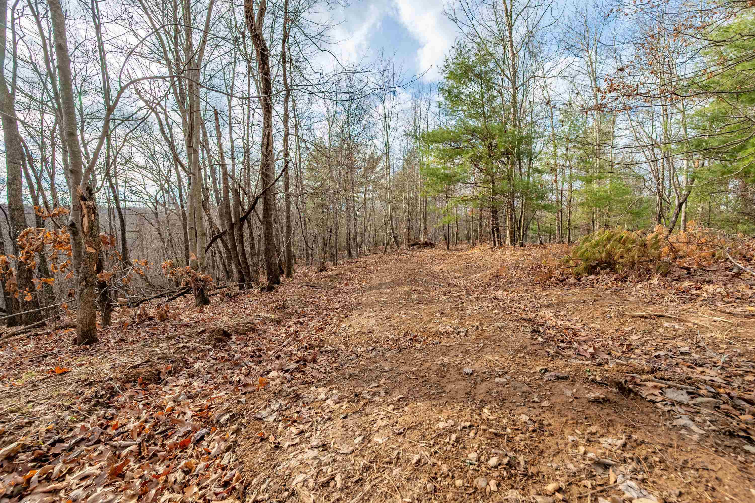 Tbd Spangler Mill Road Northeast Floyd, VA 24091 - Photo 30 of 44 Gallery Image 30