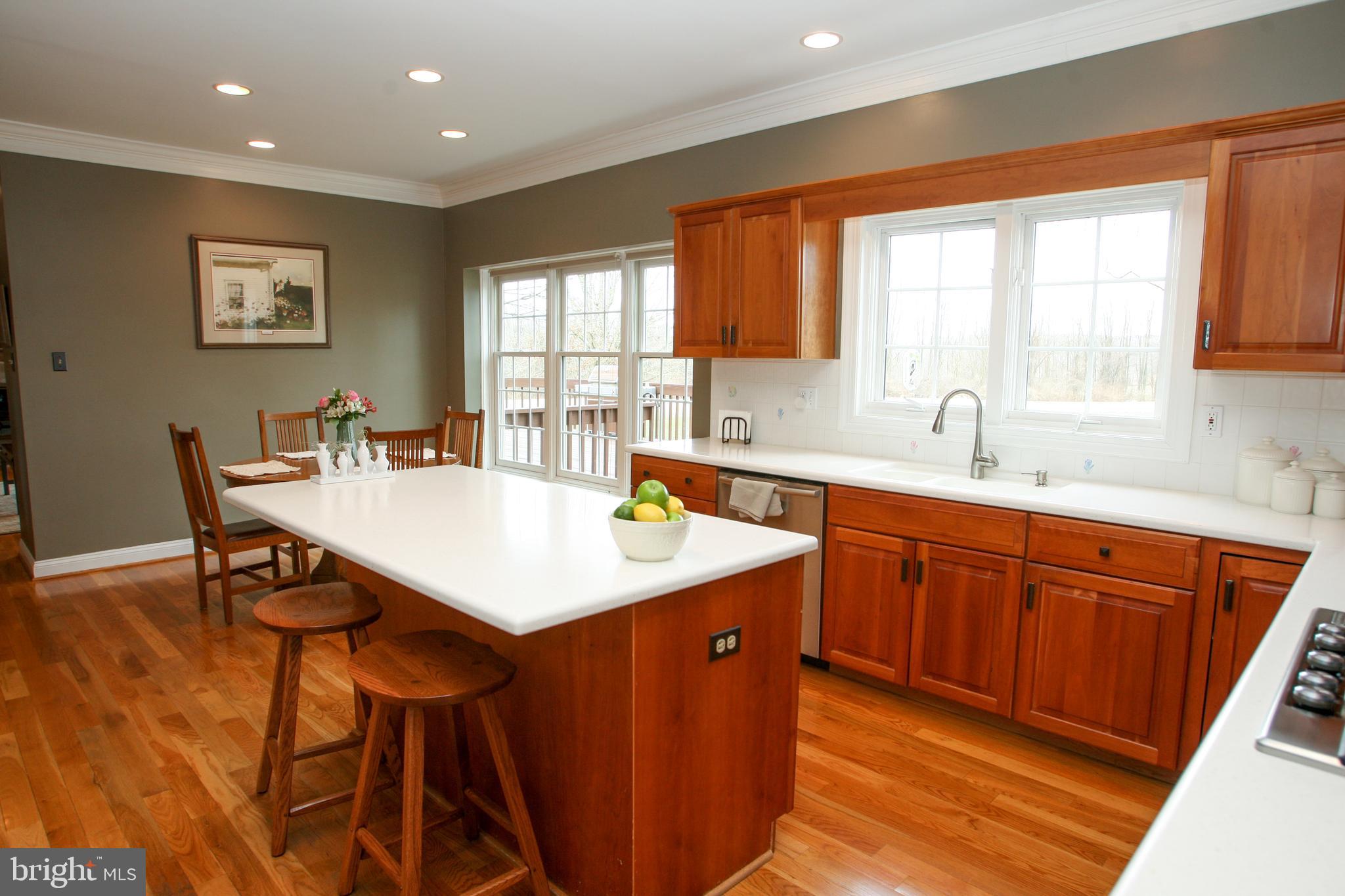 227 Kirkbrae Road Kennett Square, PA 19348 - Photo 11 of 60 Corian counter tops
