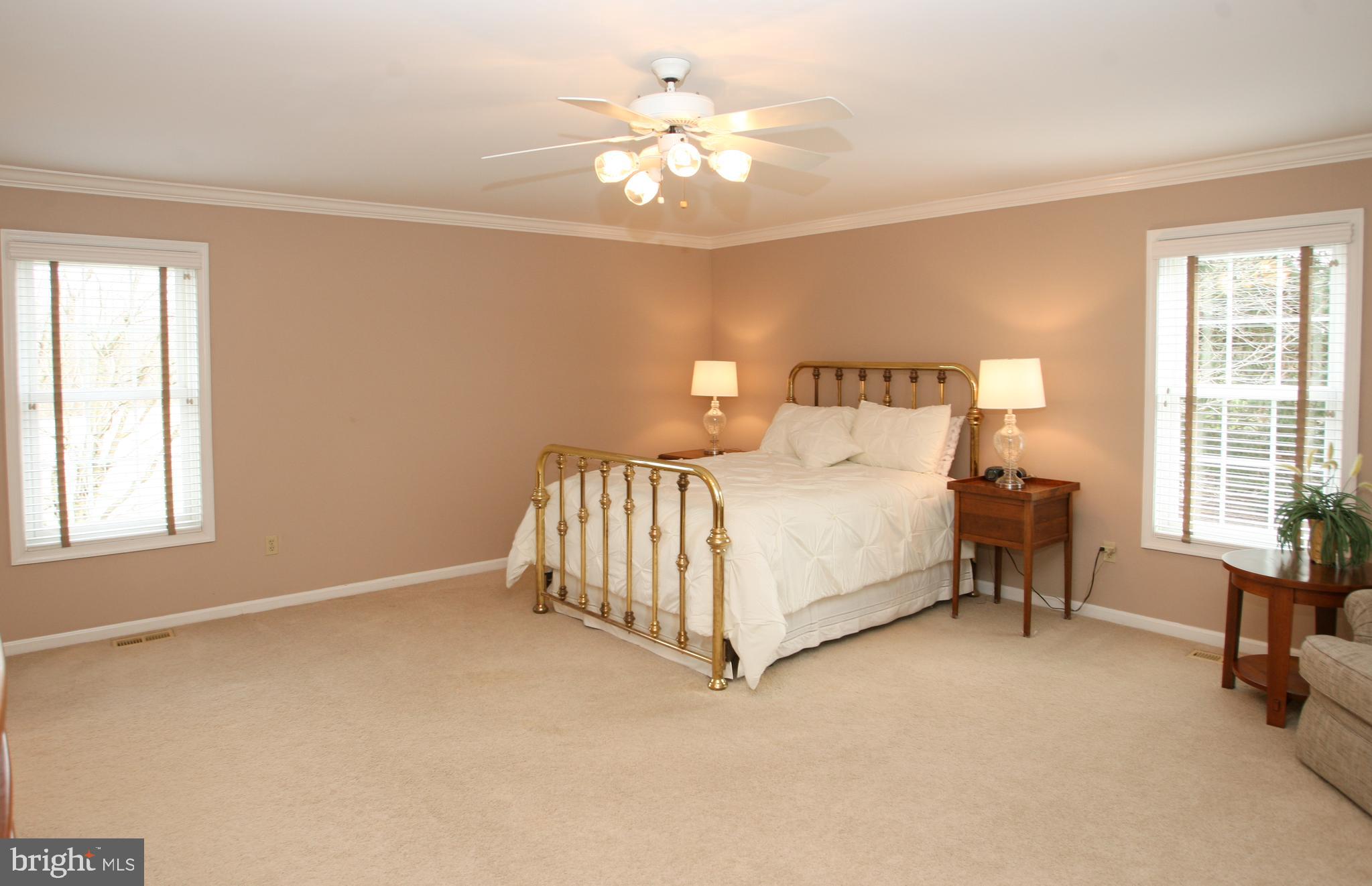 227 Kirkbrae Road Kennett Square, PA 19348 - Photo 24 of 60 Master bedroom