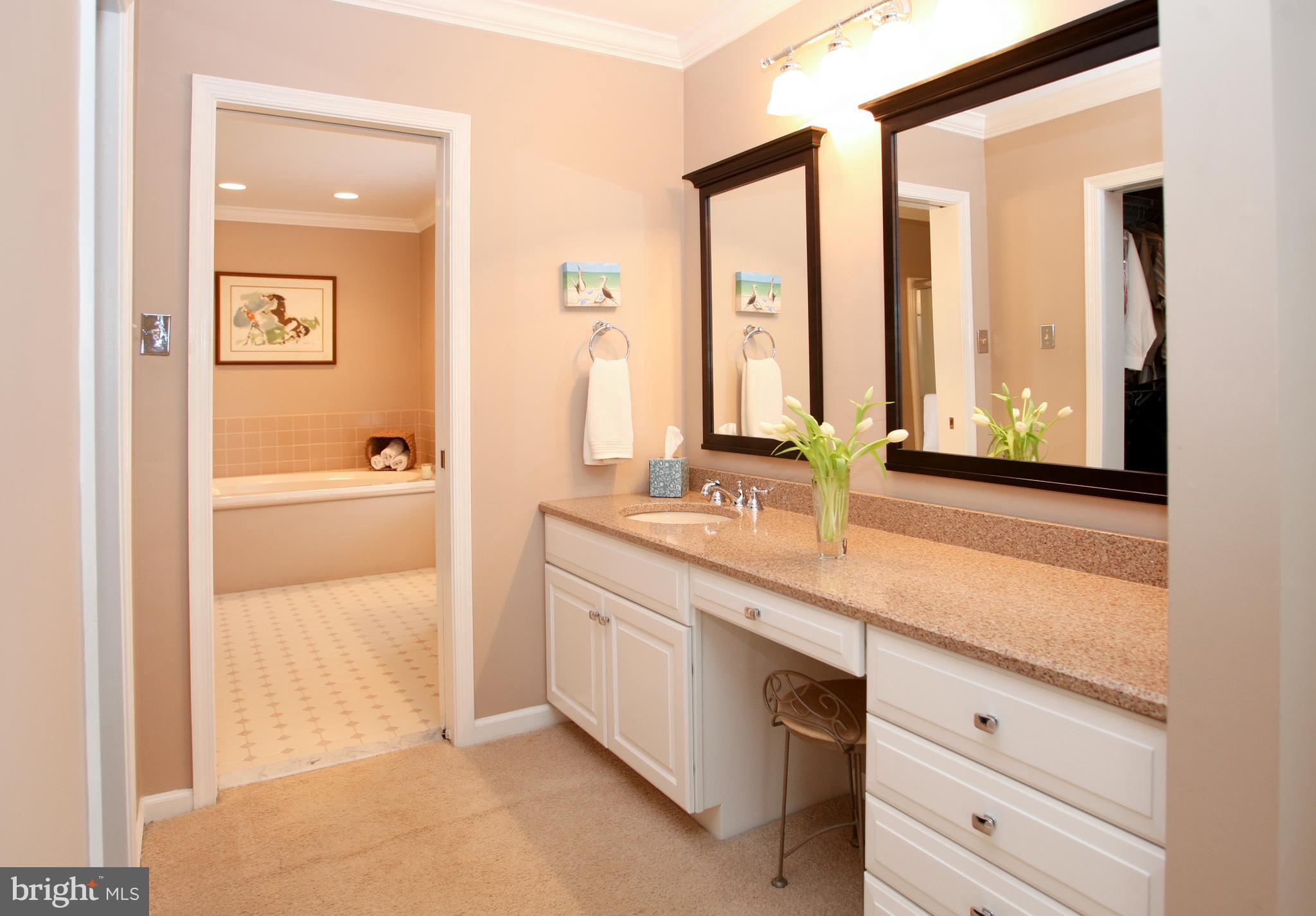 227 Kirkbrae Road Kennett Square, PA 19348 - Photo 27 of 60 Master dressing area