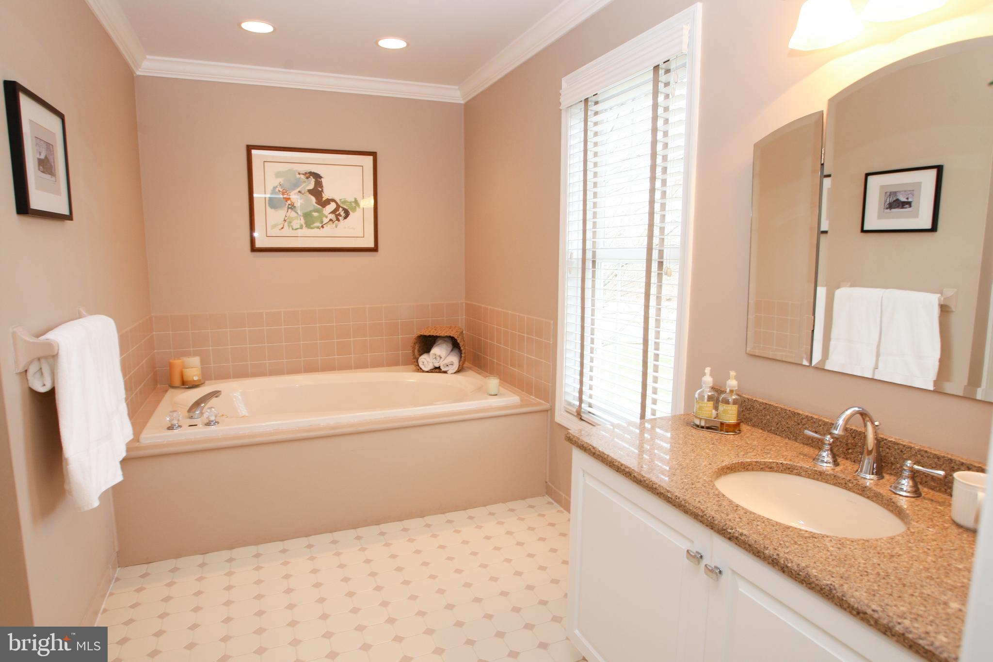 227 Kirkbrae Road Kennett Square, PA 19348 - Photo 29 of 60 Soaking tub