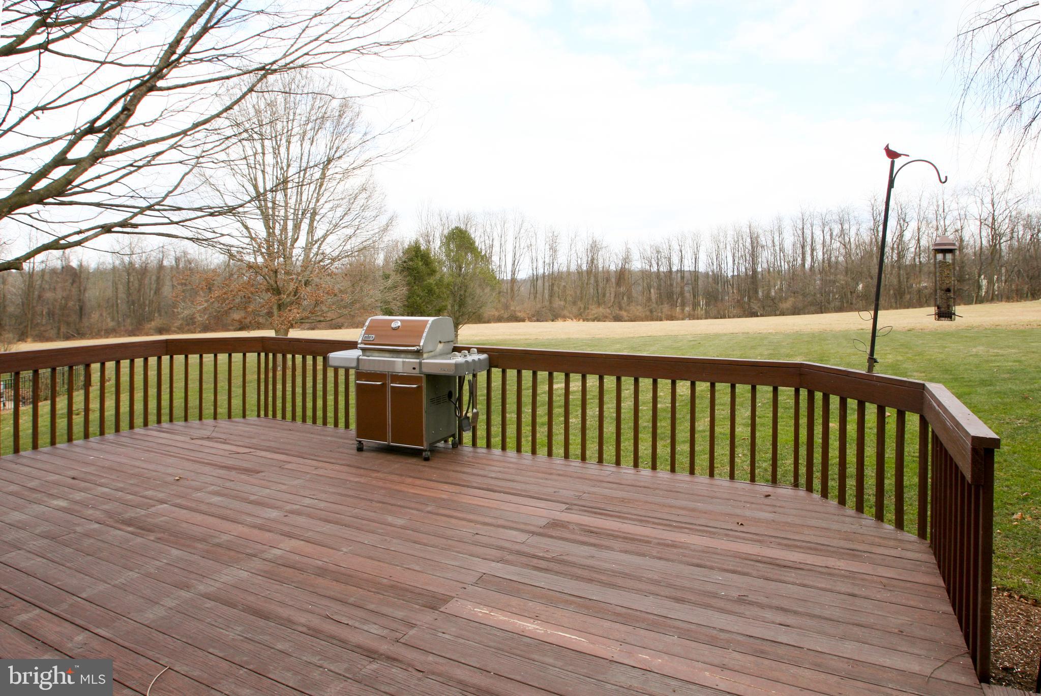 227 Kirkbrae Road Kennett Square, PA 19348 - Photo 45 of 60 Private backyard