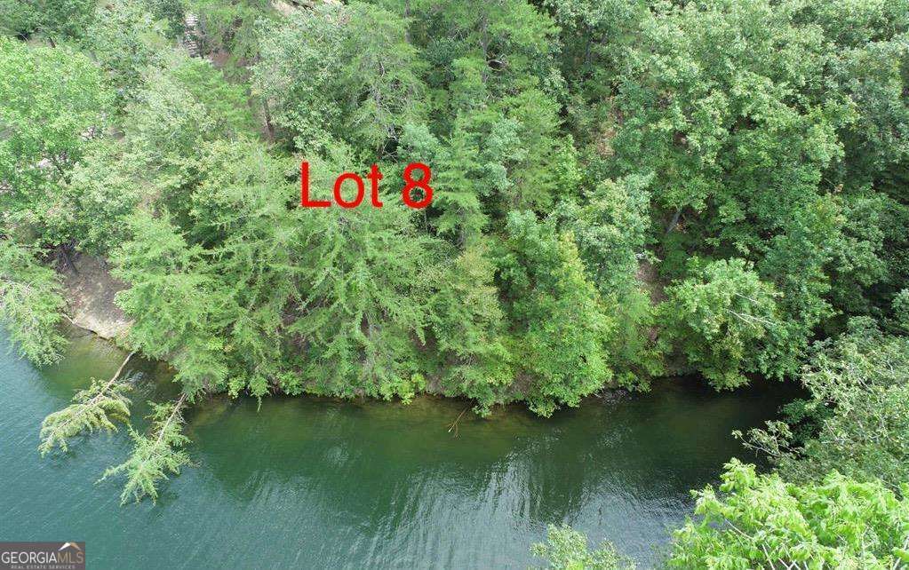 0 Evergreen Crest Wedowee, AL 36278 - Photo 4 of 8