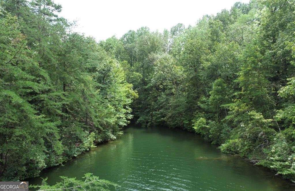 0 Evergreen Crest Wedowee, AL 36278 - Photo 5 of 8