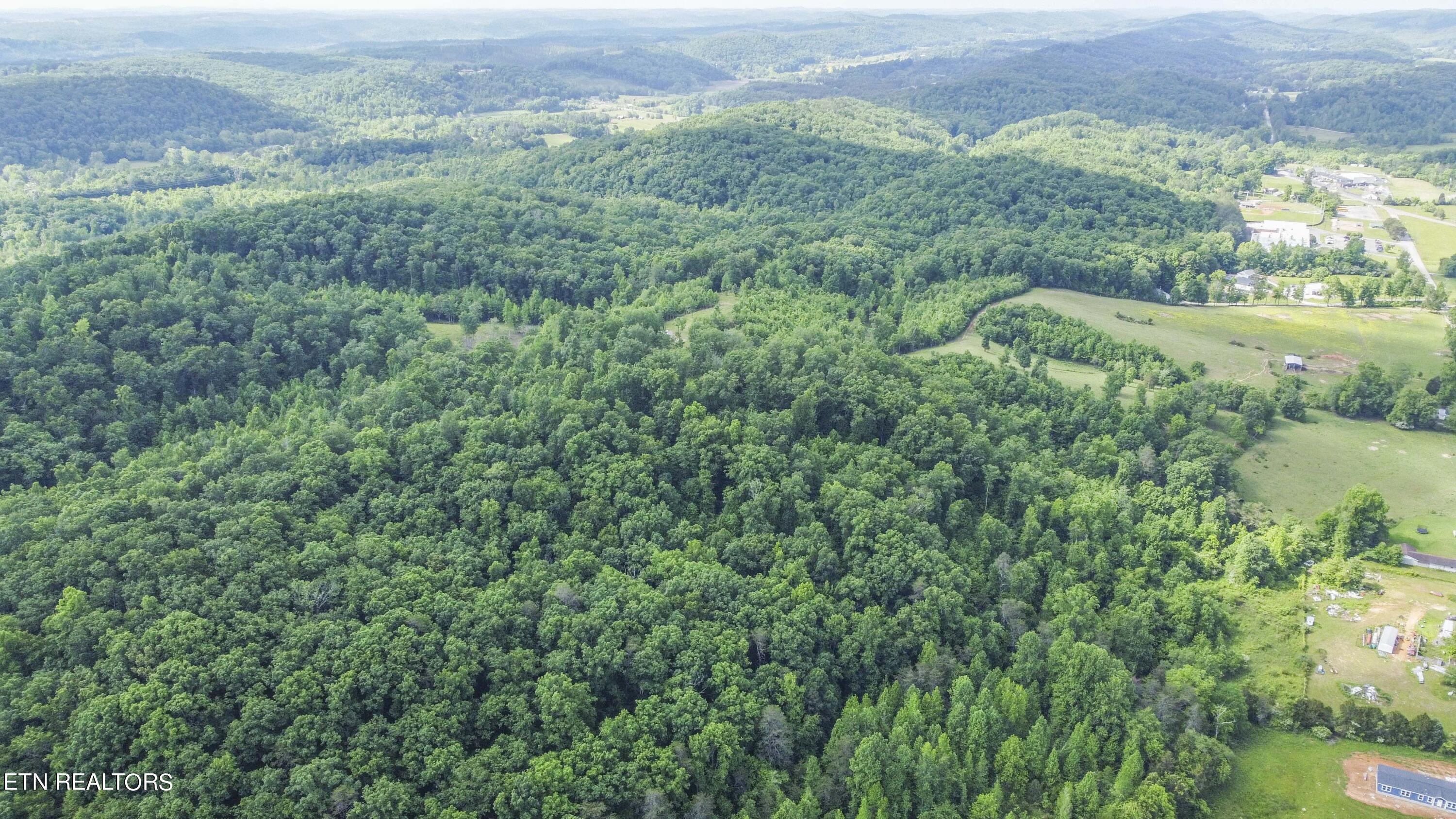 234 Laurel Bluff Road Kingston, TN 37763 - Photo 12 of 19 drone 8_1