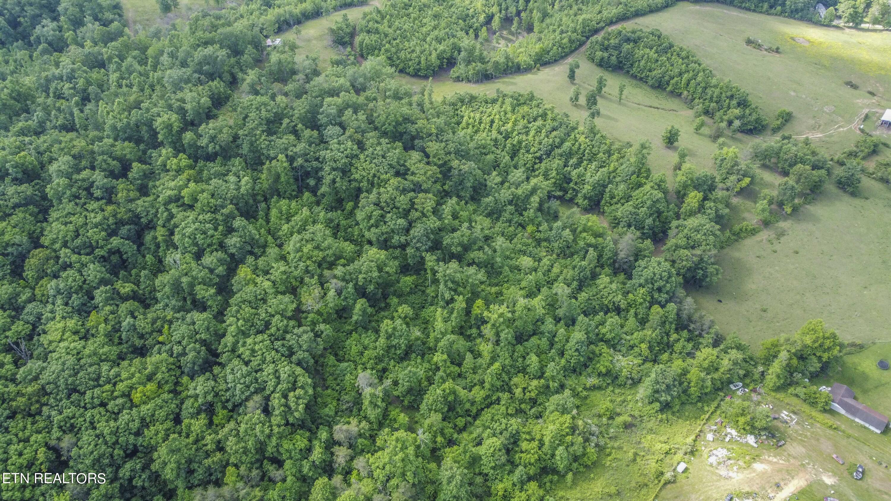 234 Laurel Bluff Road Kingston, TN 37763 - Photo 13 of 19 drone 9_1