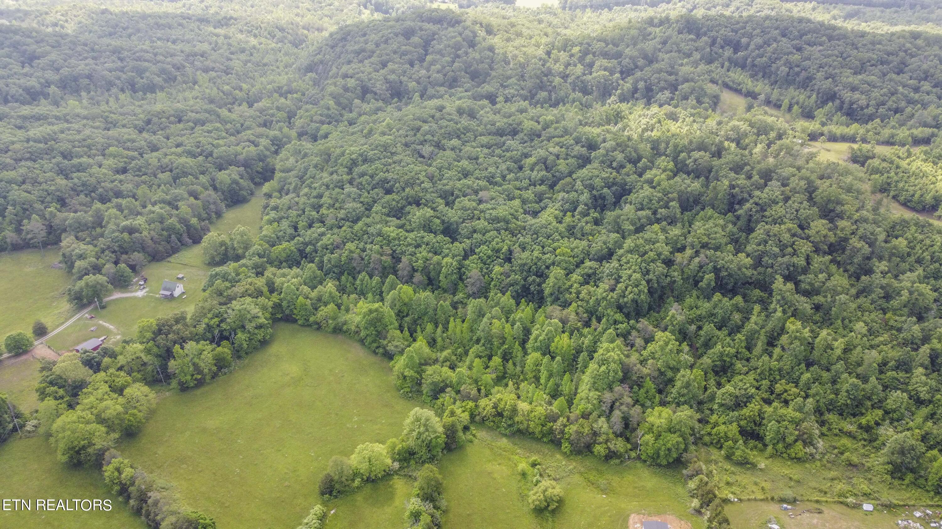 234 Laurel Bluff Road Kingston, TN 37763 - Photo 17 of 19 drone 15_1