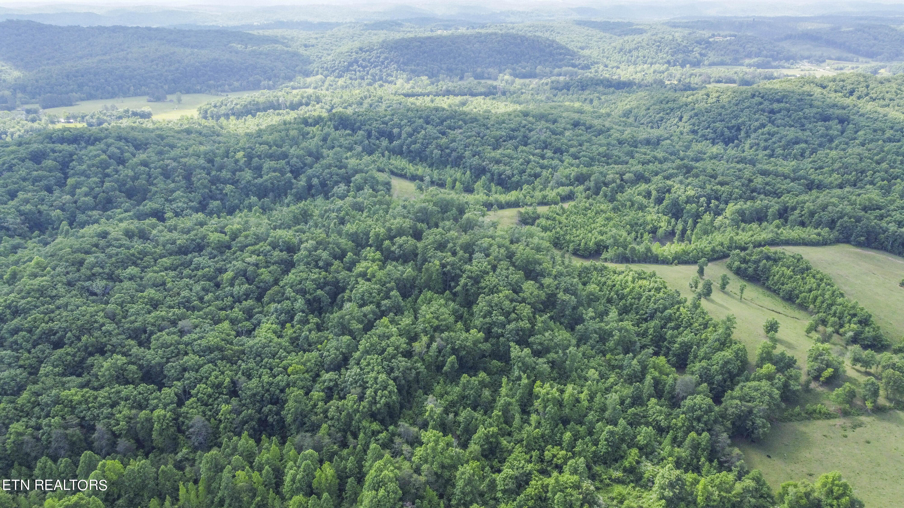 234 Laurel Bluff Road Kingston, TN 37763 - Photo 5 of 19 drone 7_1