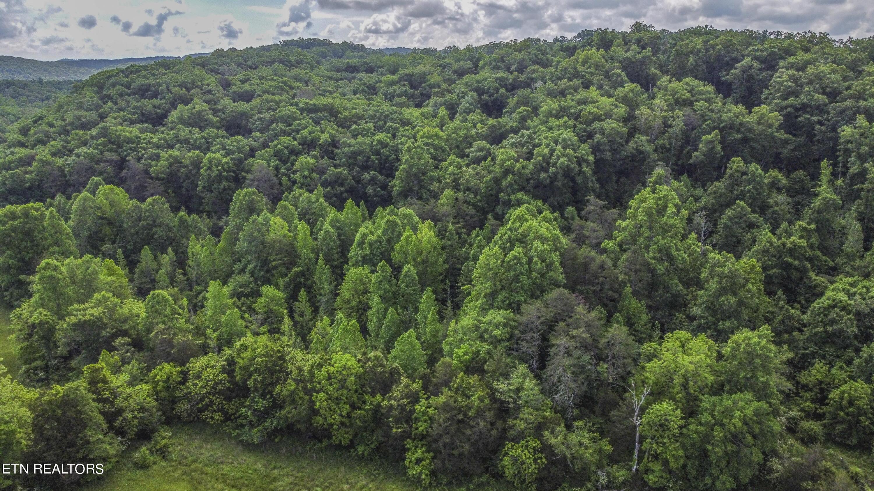 234 Laurel Bluff Road Kingston, TN 37763 - Photo 8 of 19 drone 1_1