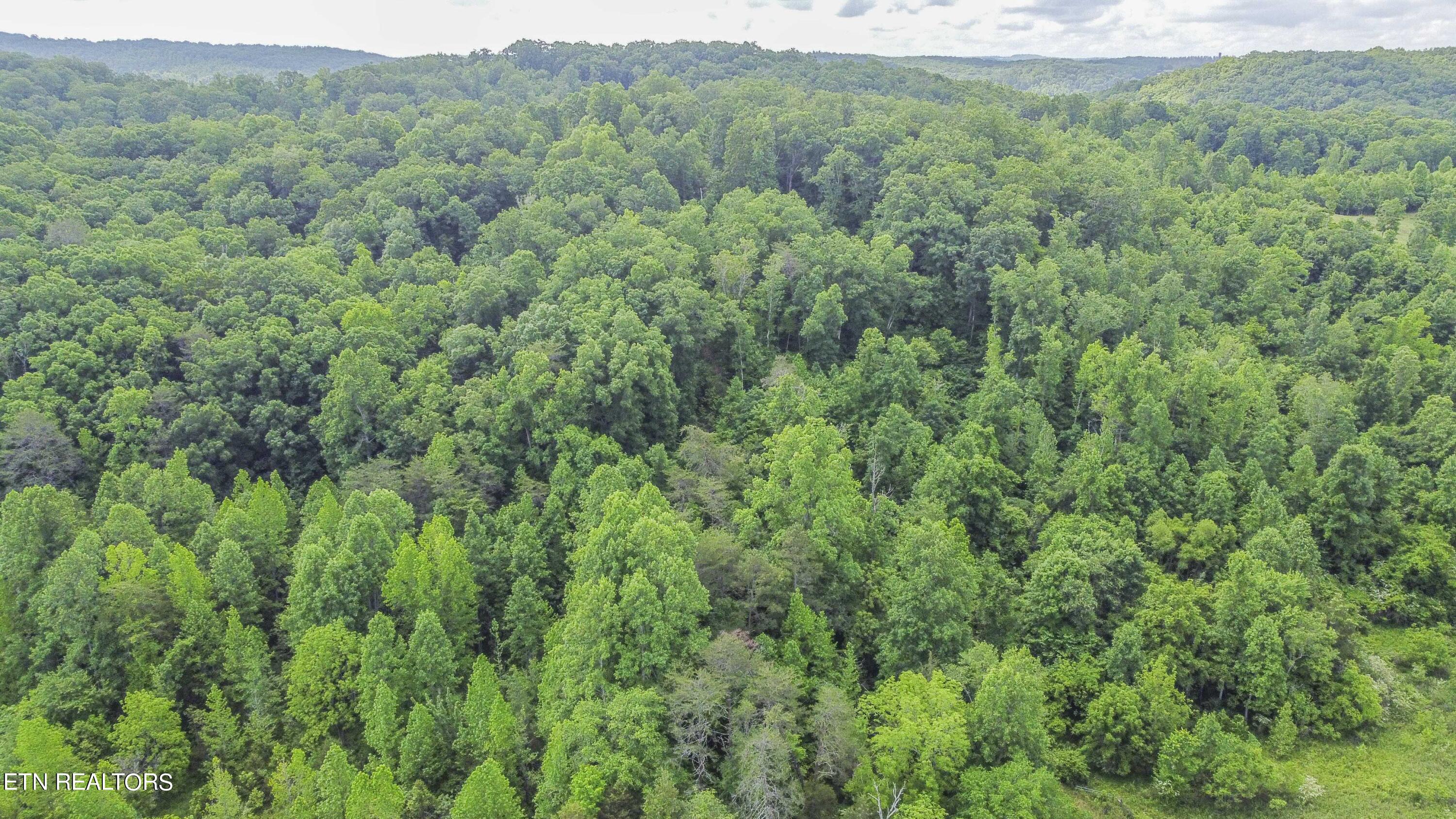 234 Laurel Bluff Road Kingston, TN 37763 - Photo 9 of 19 drone 2_1