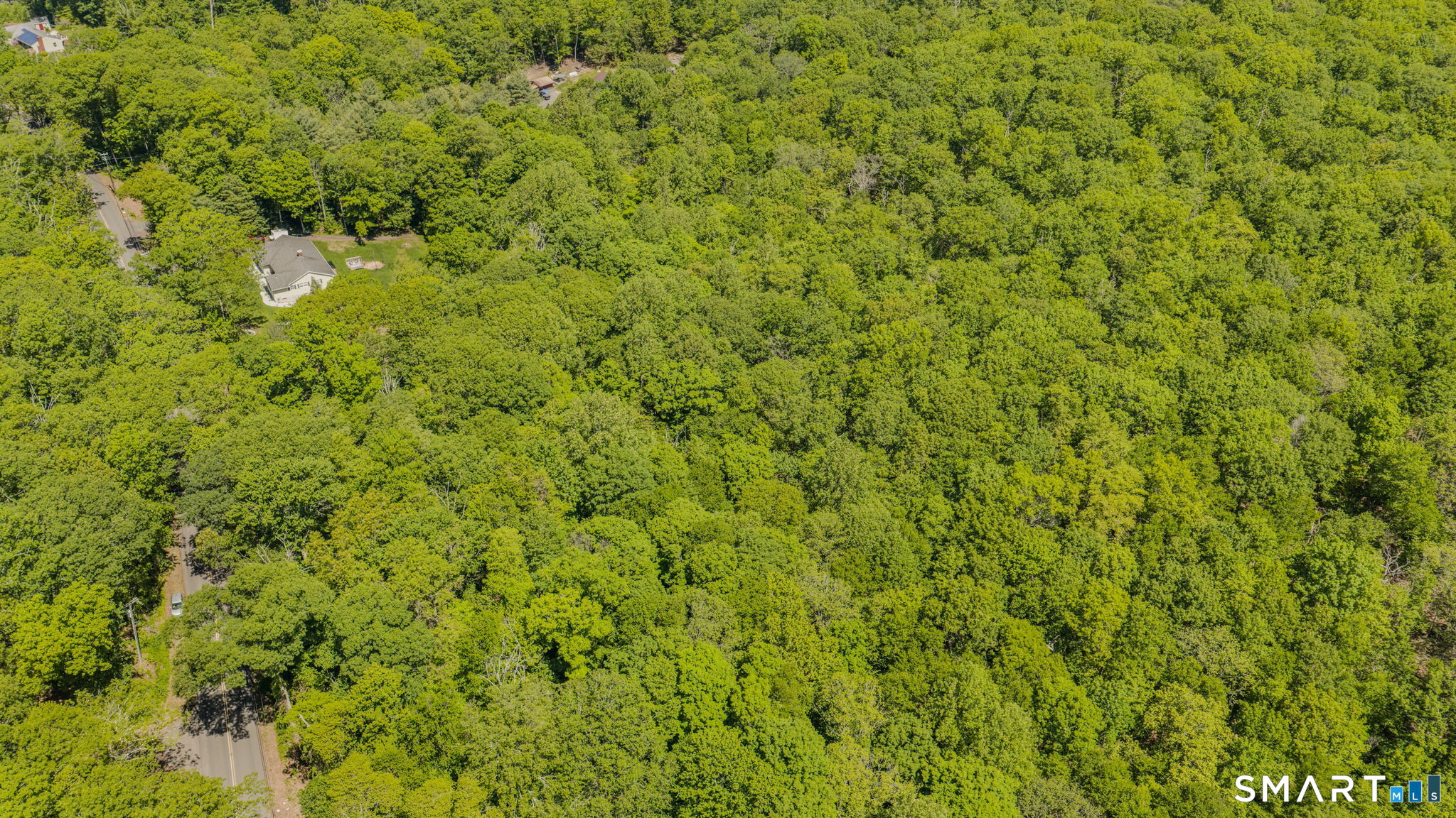 Lot10-b1 Foot Hills Road Higganum, CT 06441 - Photo 29 of 33 a view of a big yard with plants and large trees