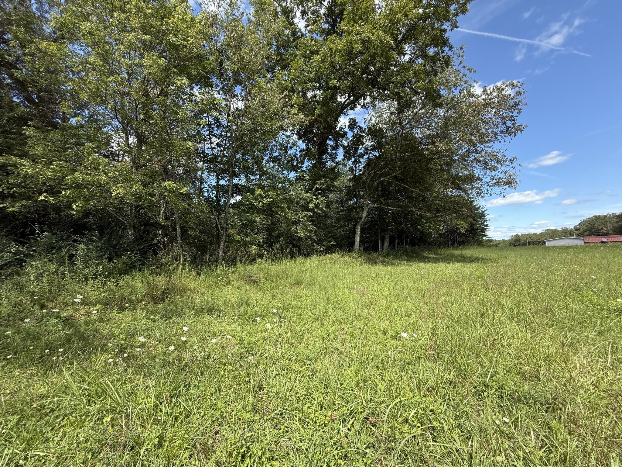 11 Newton Road Crossville, TN 38572 - Photo 4 of 7 Gallery Image 4