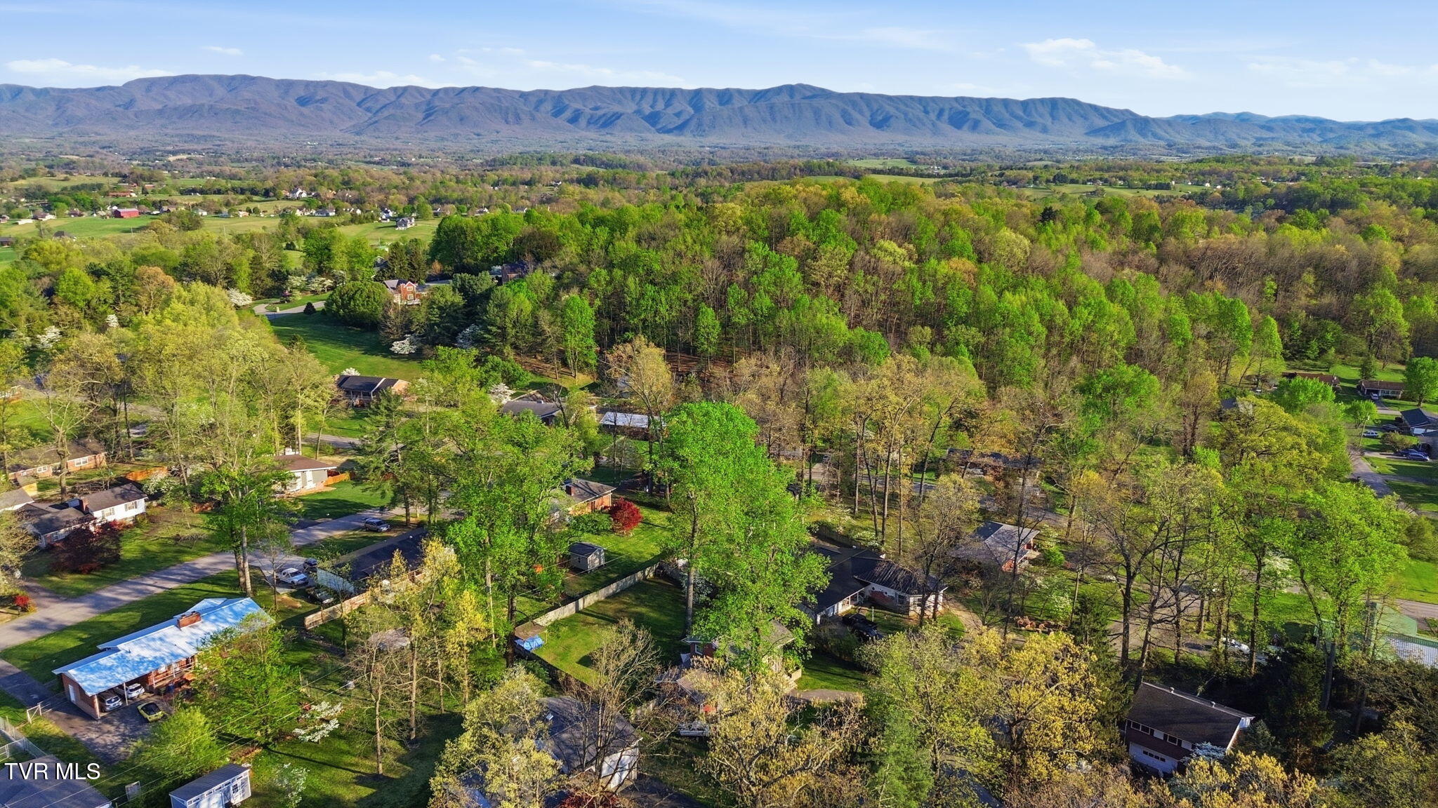 209 Haynes Boulevard Greeneville, TN 37745 - Photo 30 of 35 33-web-or-mls-DJI_0749
