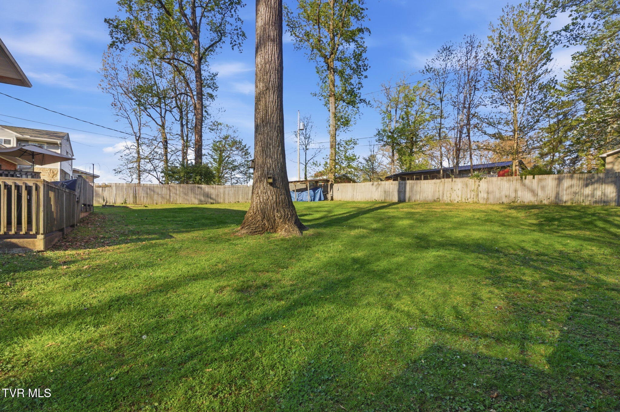 209 Haynes Boulevard Greeneville, TN 37745 - Photo 3 of 35 4-web-or-mls-DZ3A0017