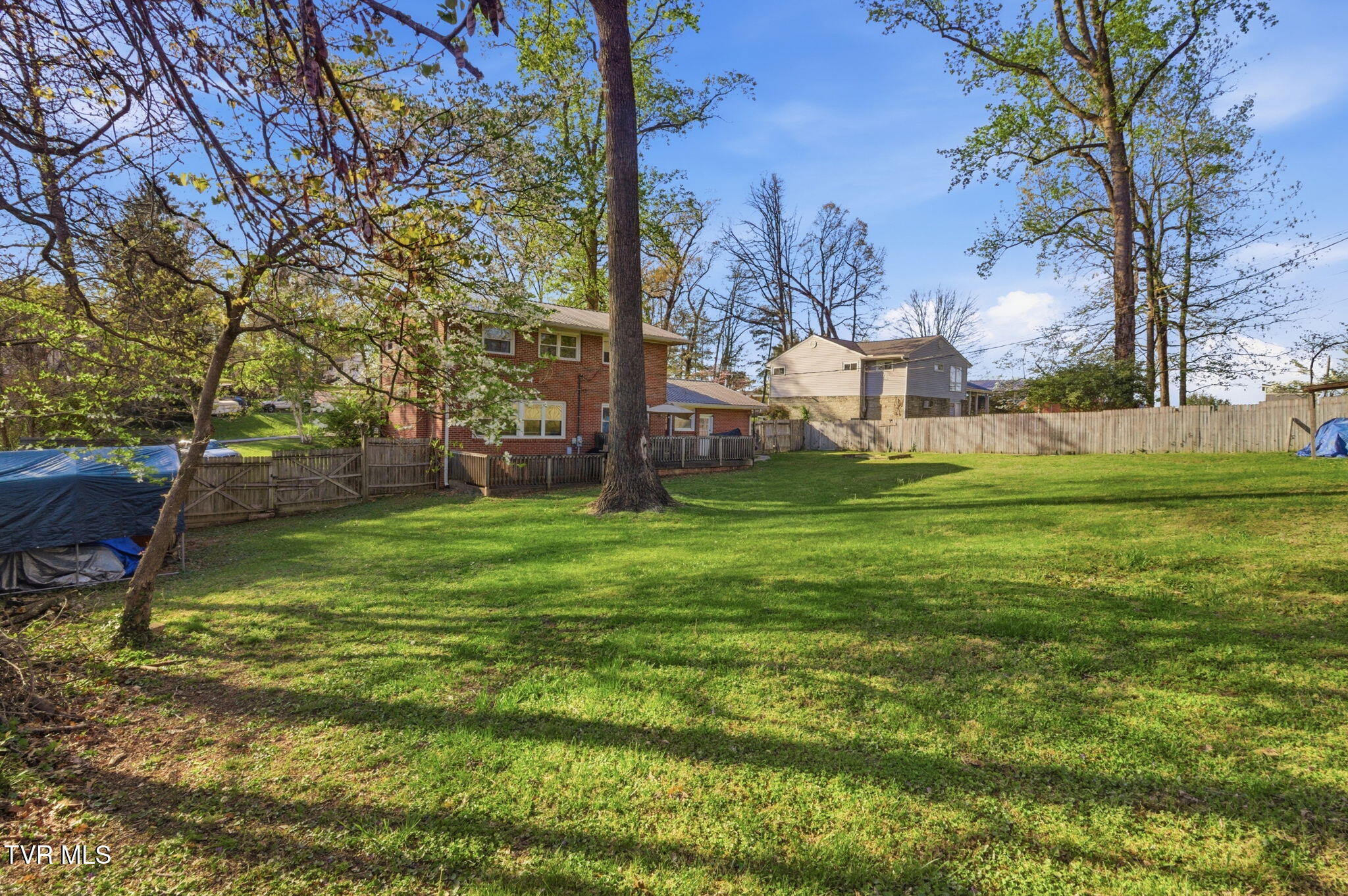 209 Haynes Boulevard Greeneville, TN 37745 - Photo 33 of 35 3-web-or-mls-DZ3A0013