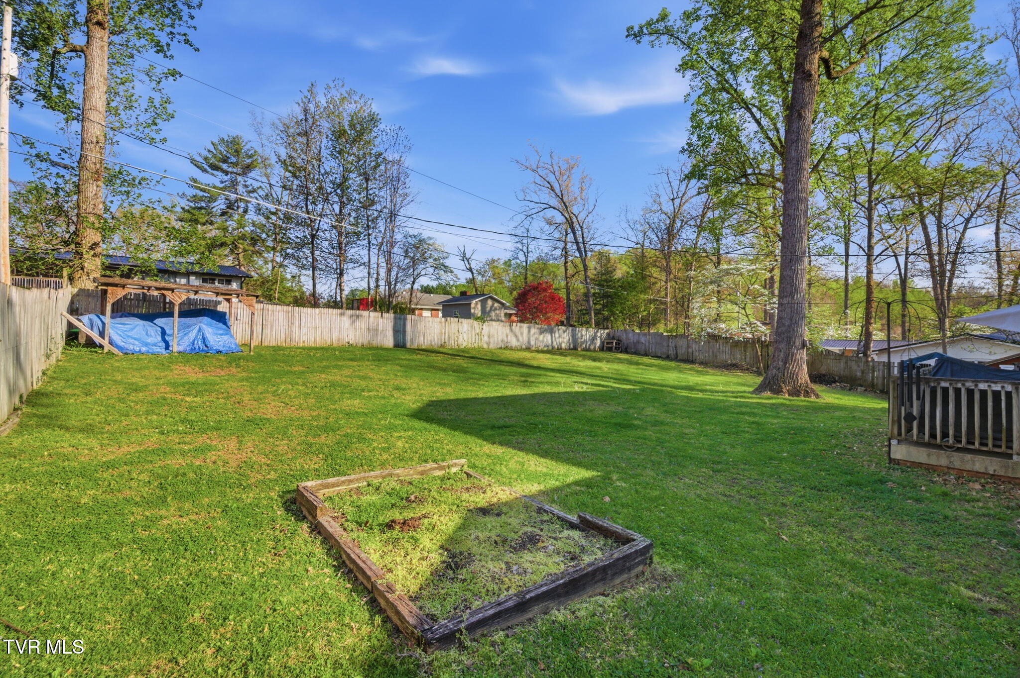 209 Haynes Boulevard Greeneville, TN 37745 - Photo 4 of 35 5-web-or-mls-DZ3A0021