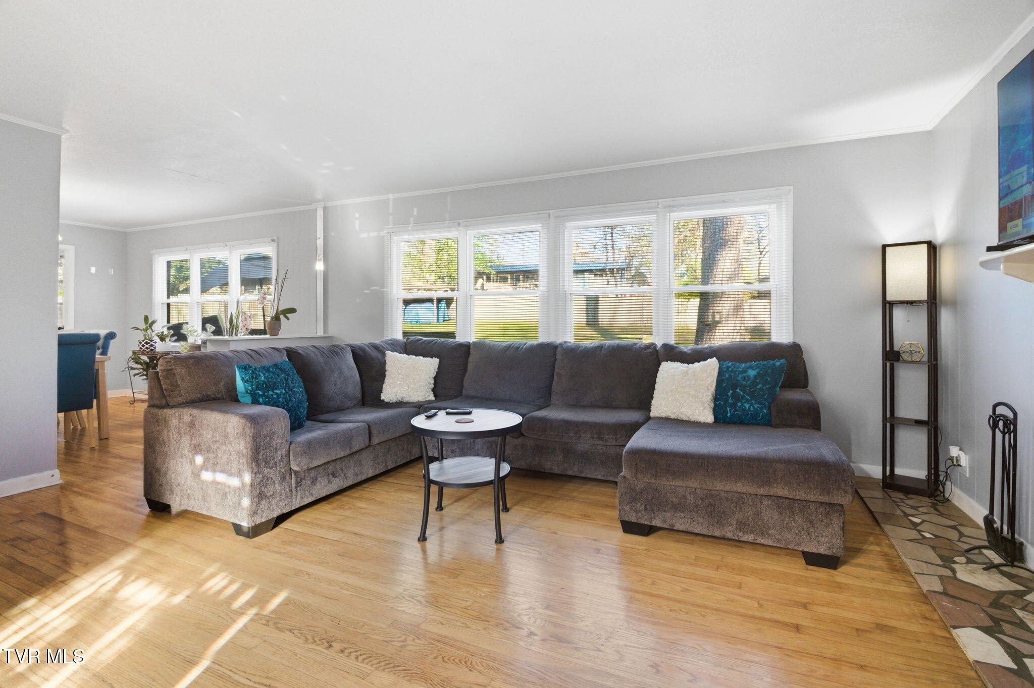 209 Haynes Boulevard Greeneville, TN 37745 - Photo 5 of 35 6-web-or-mls-DZ3A0033