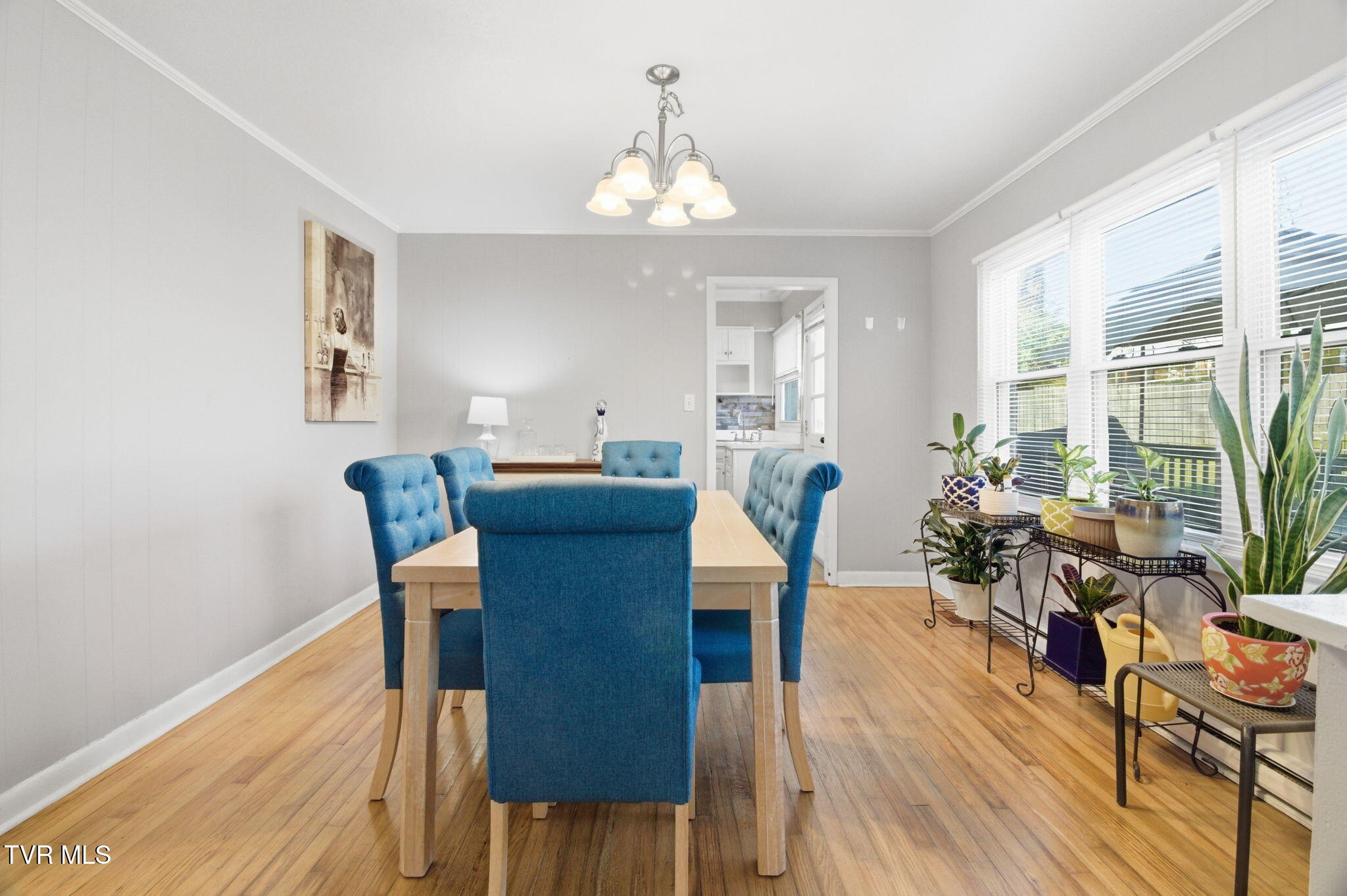 209 Haynes Boulevard Greeneville, TN 37745 - Photo 8 of 35 9-web-or-mls-DZ3A0045