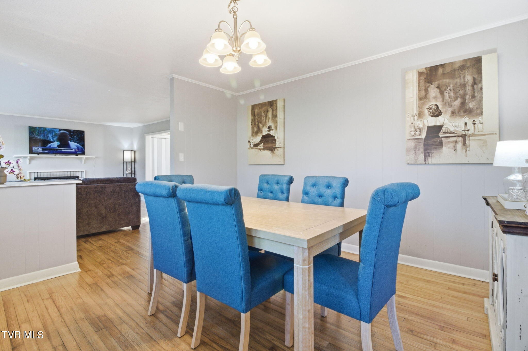 209 Haynes Boulevard Greeneville, TN 37745 - Photo 9 of 35 10-web-or-mls-DZ3A0049