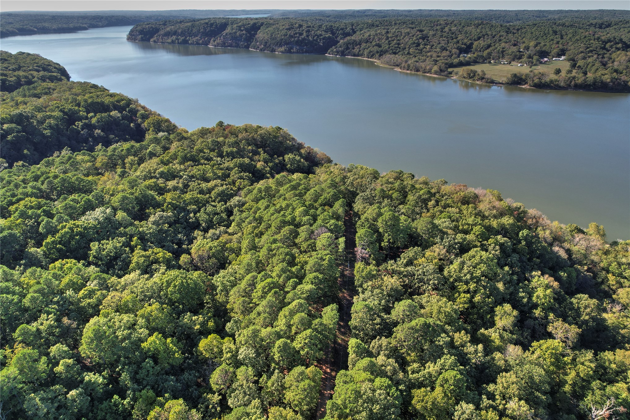 46420 South 590 Road Jay, OK 74346 - Photo 51 of 63 Expansive forested terrain with a cleared path and substantial waterfrontage