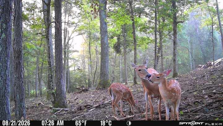 20162 Meada Road Nelsonville, OH 45764 - Photo 15 of 39 IMG_1831
