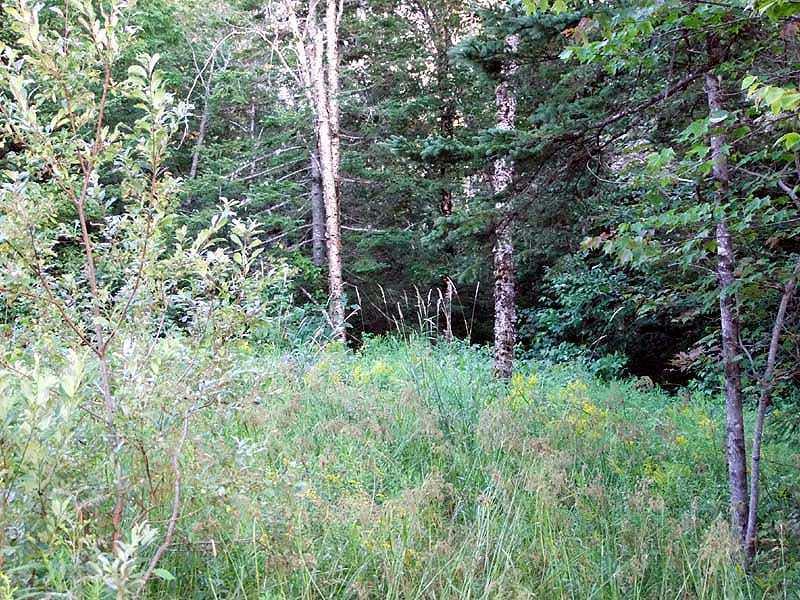 56-60 Thompson Settlement Road Oakfield, ME 04763 - Photo 34 of 35 Land.