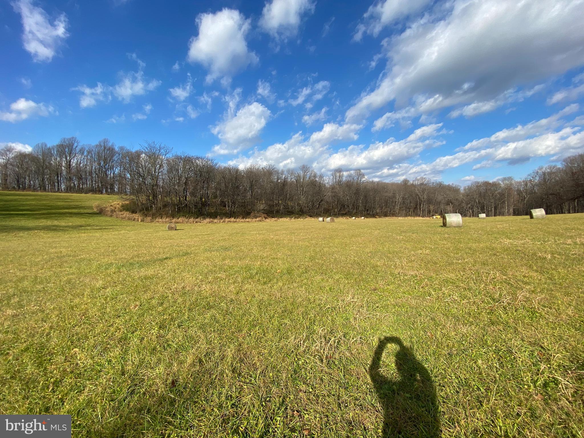 17794 Old Frederick Road Mount Airy, MD 21771 - Photo 20 of 24 a view of a lake from a yard