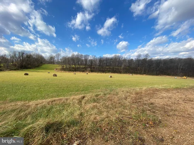 a view of patio and yard