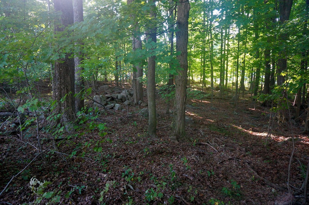 Lot 100 Cordaville Road Ashland, MA 01721 - Photo 2 of 4 Gallery Image 2
