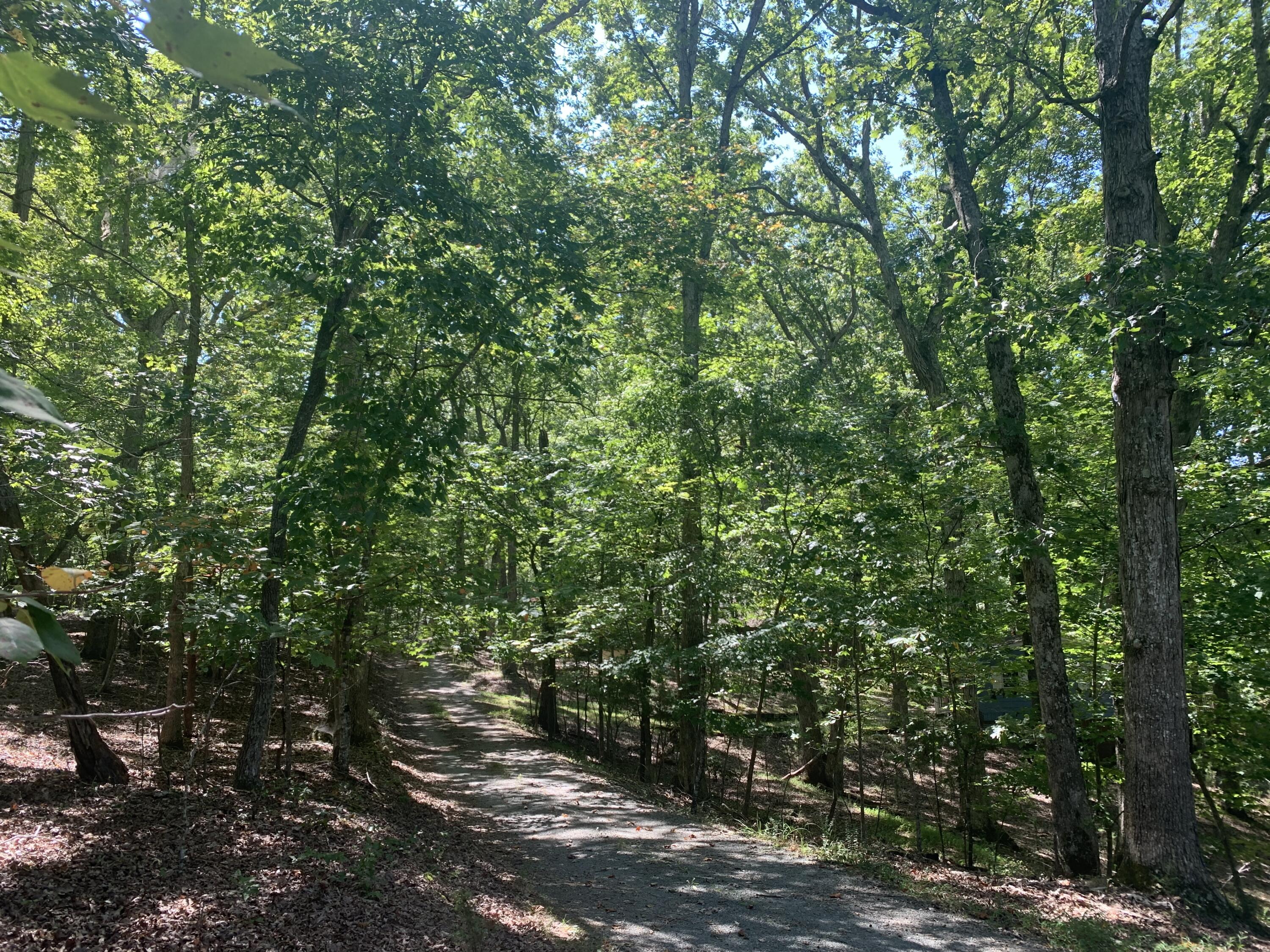2695 Gallows Road Gretna, VA 24557 - Photo 15 of 15 555B3E6A-3108-471B-AFDE-8356F88E35A4