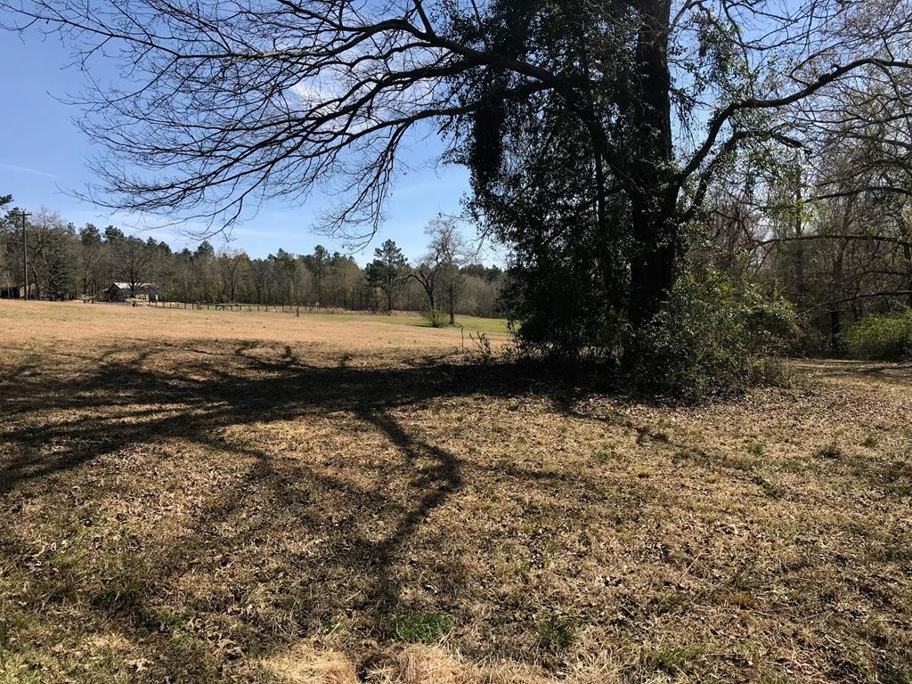 Lot 1 Holiness Church Road Wagener, SC 29164 - Photo 21 of 22