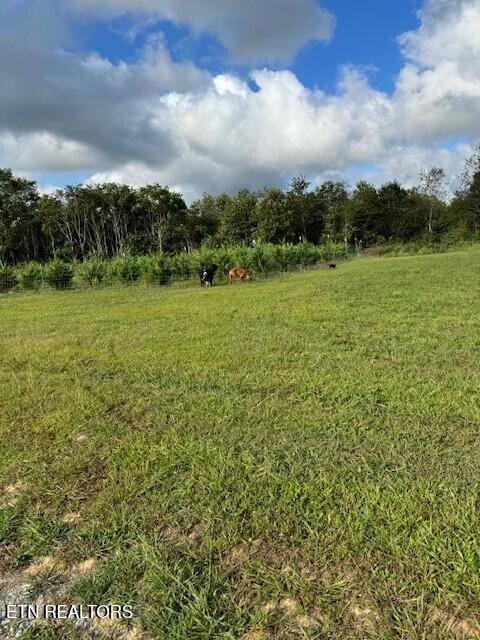 129 Rushing Springs Road Monterey, TN 38574 - Photo 2 of 60 Main