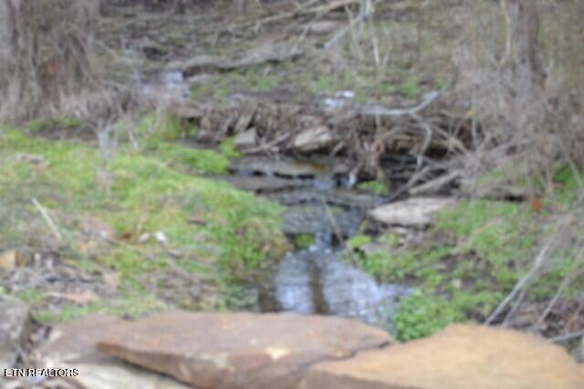 129 Rushing Springs Road Monterey, TN 38574 - Photo 21 of 60 DSC_0029