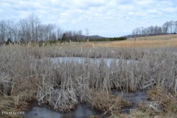 $749,900 | 129 Rushing Springs Road, Monterey, TN 38574