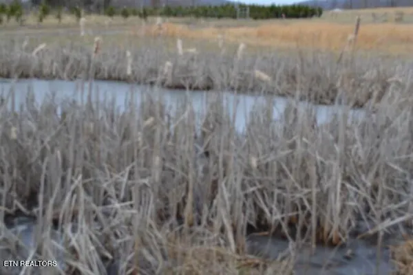 $749,900 | 129 Rushing Springs Road, Monterey, TN 38574