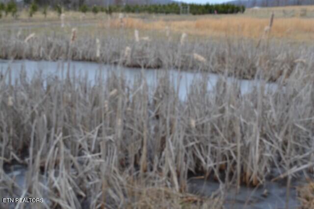 129 Rushing Springs Road Monterey, TN 38574 - Photo 27 of 60 DSC_0039