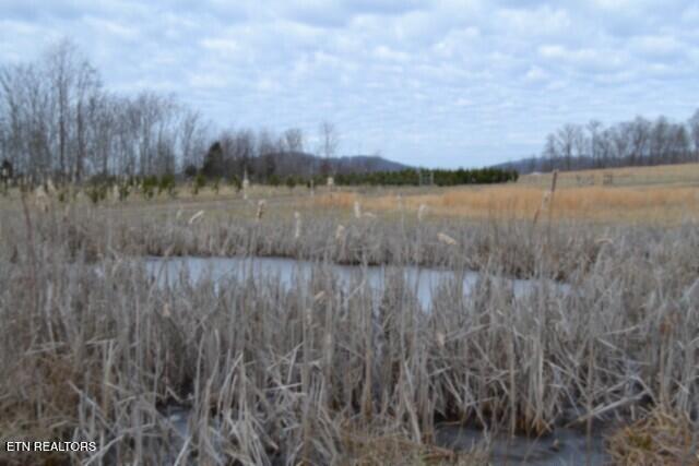 129 Rushing Springs Road Monterey, TN 38574 - Photo 28 of 60 DSC_0040