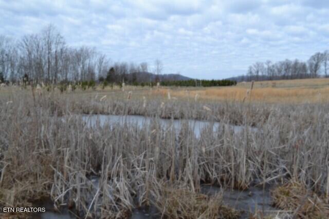 129 Rushing Springs Road Monterey, TN 38574 - Photo 29 of 60 DSC_0041
