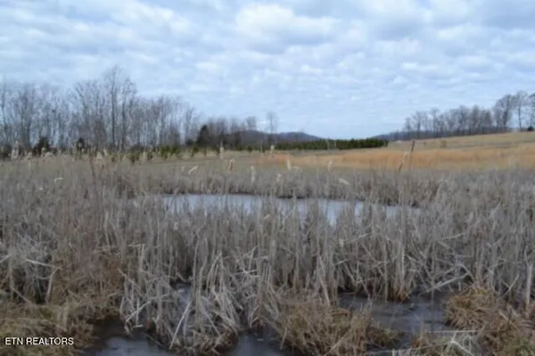 $749,900 | 129 Rushing Springs Road, Monterey, TN 38574